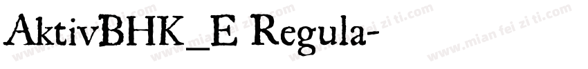 AktivBHK_E Regula字体转换